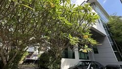 Wareham Road (D15), Detached #563928281
